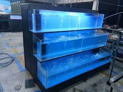 8l的魚缸可以養多少魚苗：8l的魚缸可以養多少魚苗，養魚的數量是固定不變的