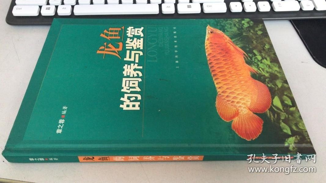 龍魚(yú)的飼養(yǎng)與鑒賞作文