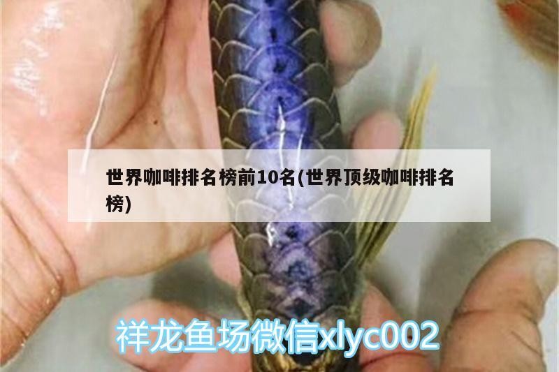 世界咖啡排名榜前10名(世界頂級咖啡排名榜)