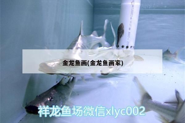 龍魚趴缸人一過去就游起來vs祥龍魚場：祥龍魚場評價如何 龍魚趴缸人一過去就游起來vs祥龍魚場：祥龍魚場評價如何 vs祥龍魚場 第5張