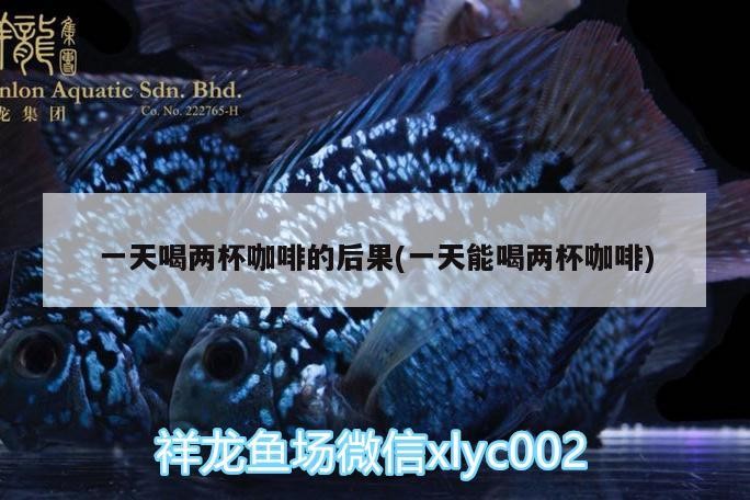 一天喝兩杯咖啡的后果(一天能喝兩杯咖啡)