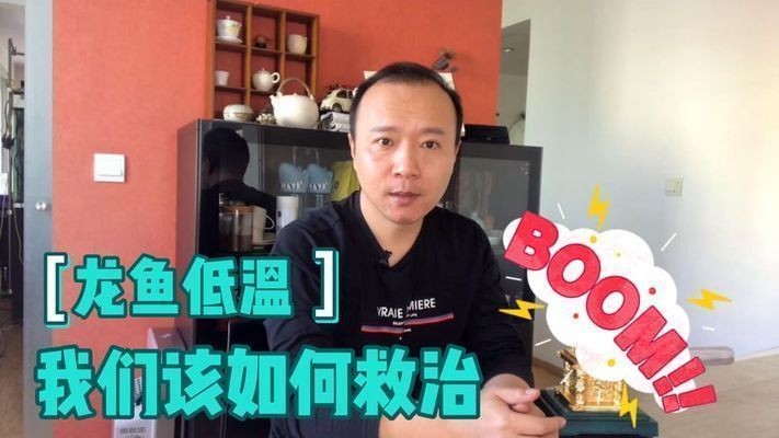 龍魚水缸溫度低怎么辦呢vs祥龍魚場：龍魚低溫下的養護技巧 龍魚水缸溫度低怎么辦呢vs祥龍魚場：龍魚低溫下的養護技巧 vs祥龍魚場 第4張