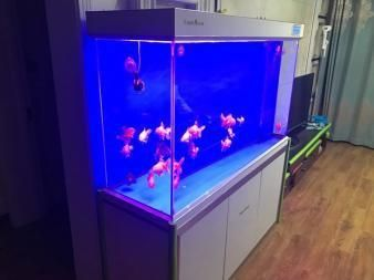 森森底濾缸改造 森森底濾缸改造 森森魚缸
