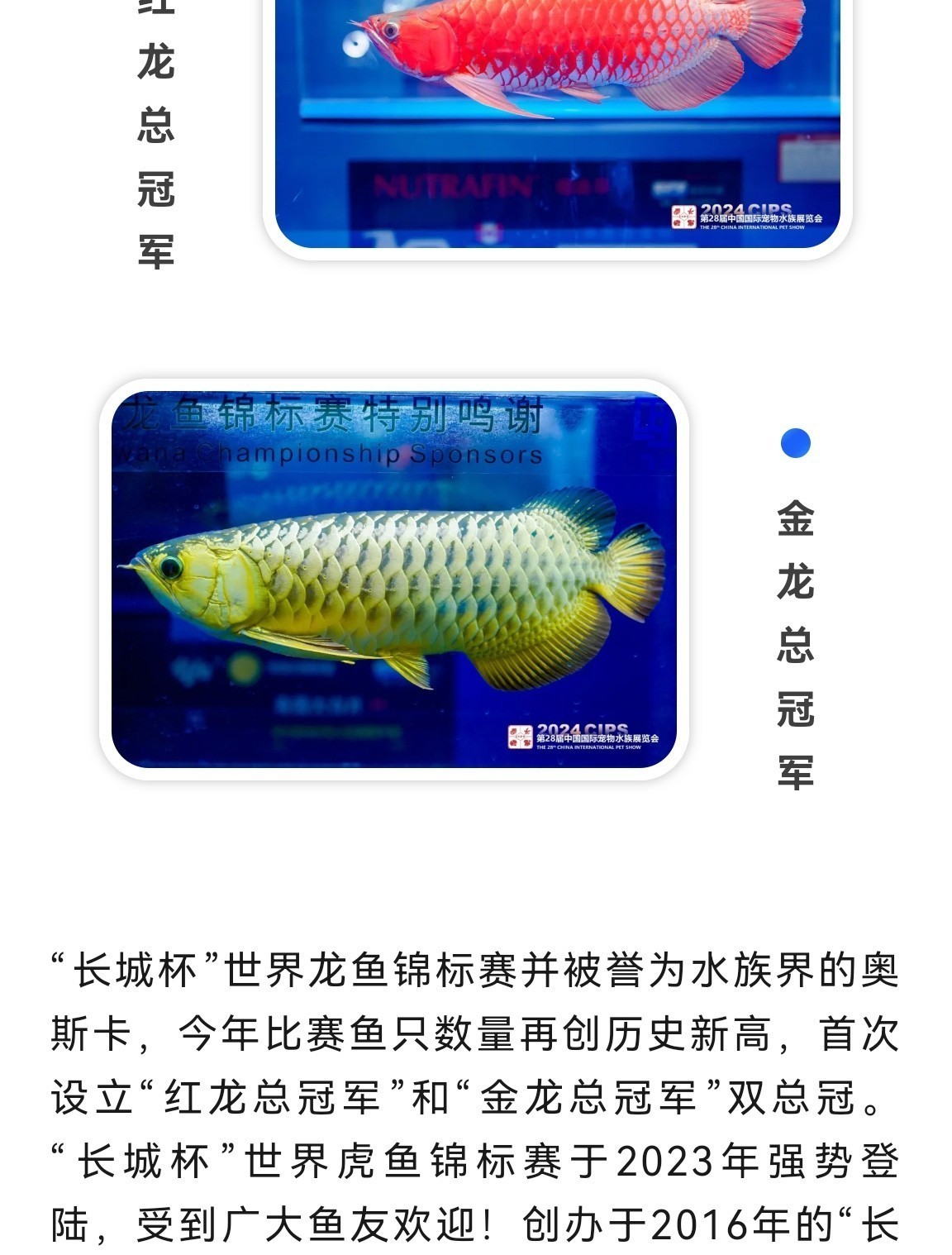 第 28 屆 CIPS 水族展耀然啟幕