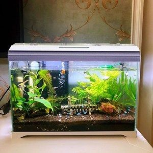 森森魚缸蓋壞了能否再換新的