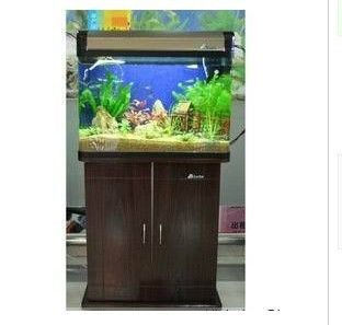 60公分魚缸用什么過濾：60公分的魚缸該如何選擇合適的過濾器？ 60公分魚缸用什么過濾：60公分的魚缸該如何選擇合適的過濾器？ 魚缸百科 第2張