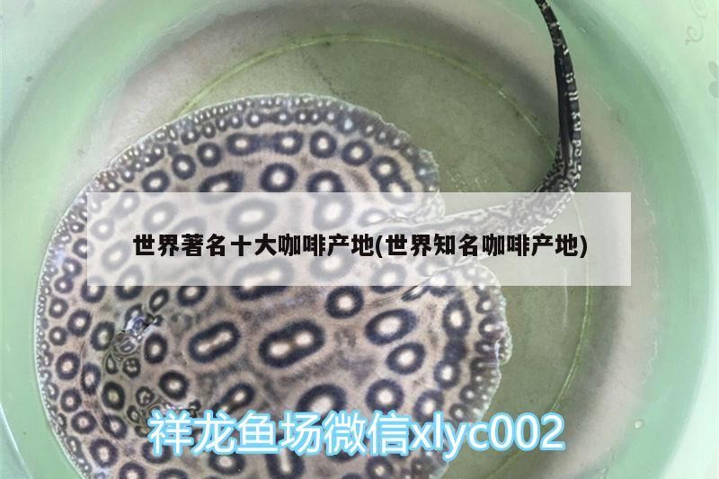 世界著名十大咖啡產(chǎn)地(世界知名咖啡產(chǎn)地)