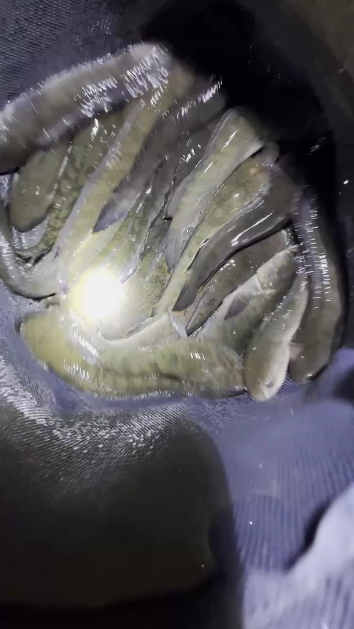 今日收獲滿滿
