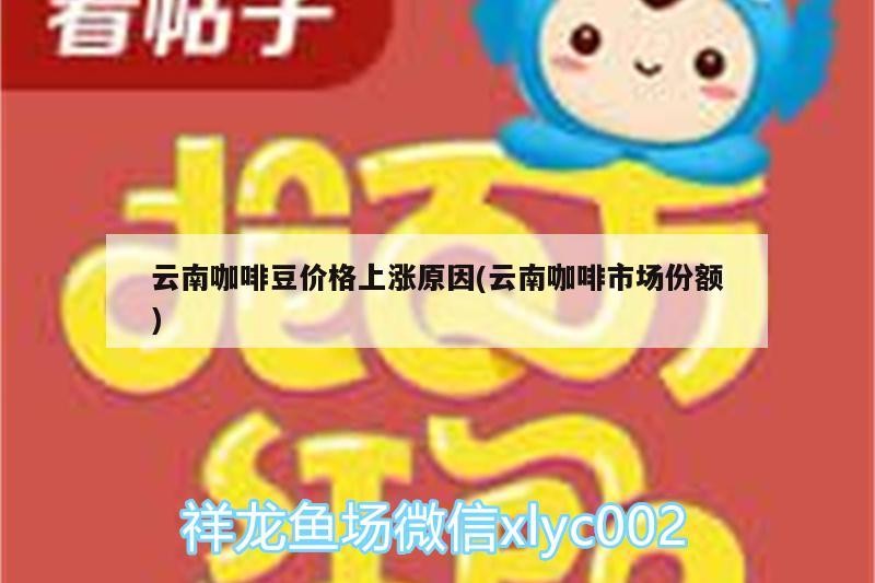 云南咖啡豆價格上漲原因(云南咖啡市場份額) 云南咖啡豆價格上漲原因(云南咖啡市場份額) 馬來西亞咖啡
