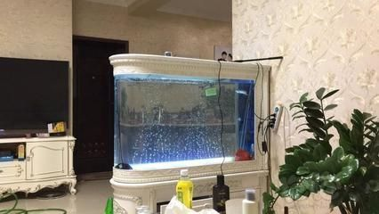 龍魚(yú)回家第一次開(kāi)口vs祥龍魚(yú)場(chǎng)：龍魚(yú)回家第一次開(kāi)口vs祥龍魚(yú)場(chǎng)，祥龍魚(yú)場(chǎng)口碑評(píng)價(jià)