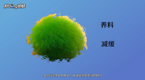 創寧加熱棒怎么拆開清洗（創寧加熱棒怎么拆開清洗視頻）