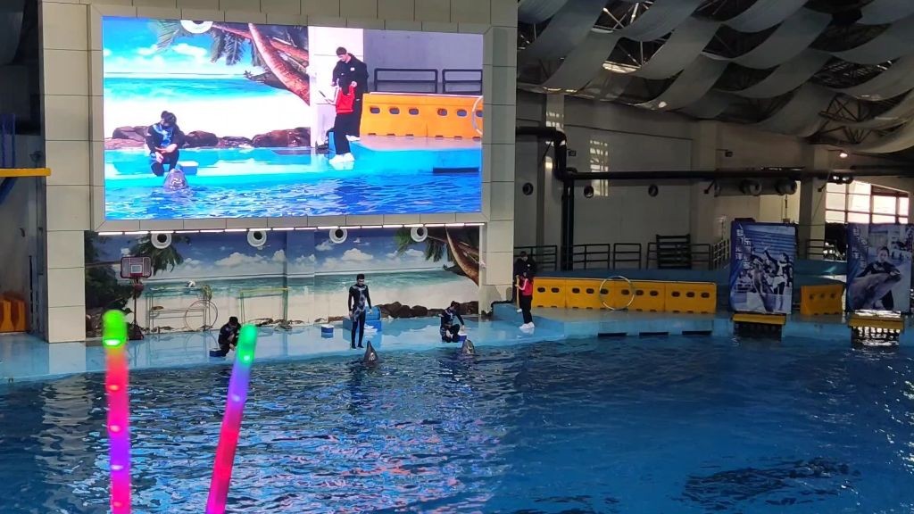 合肥水族館vs祥龍魚場（合肥水族館與祥龍魚場的區別）