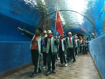 合肥水族館vs祥龍魚場（合肥水族館與祥龍魚場的區別）