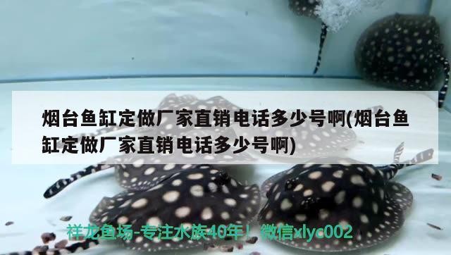 煙臺魚缸定做廠家直銷電話多少號啊(煙臺魚缸定做廠家直銷電話多少號啊)