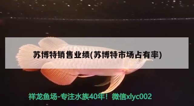 蘇博特銷售業(yè)績(jī)(蘇博特市場(chǎng)占有率)