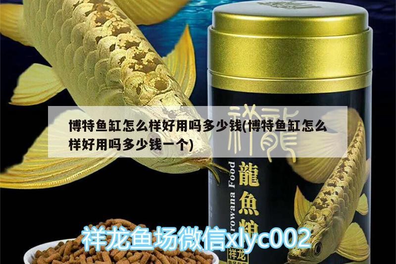 博特魚缸怎么樣好用嗎多少錢(博特魚缸怎么樣好用嗎多少錢一個) 博特魚缸怎么樣好用嗎多少錢(博特魚缸怎么樣好用嗎多少錢一個) 博特水族