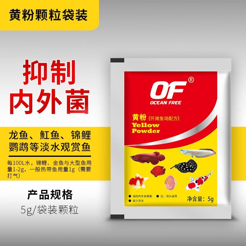 龍魚爛鰭爛尾原因分析vs祥龍魚場：祥龍魚場的龍魚品種介紹