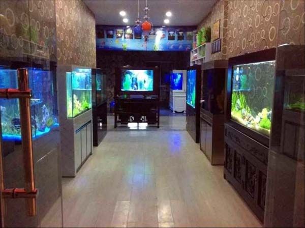 奧麗瑞斯魚缸價格：奧麗瑞斯魚缸價格因型號、尺寸、功能以及是否定制而異