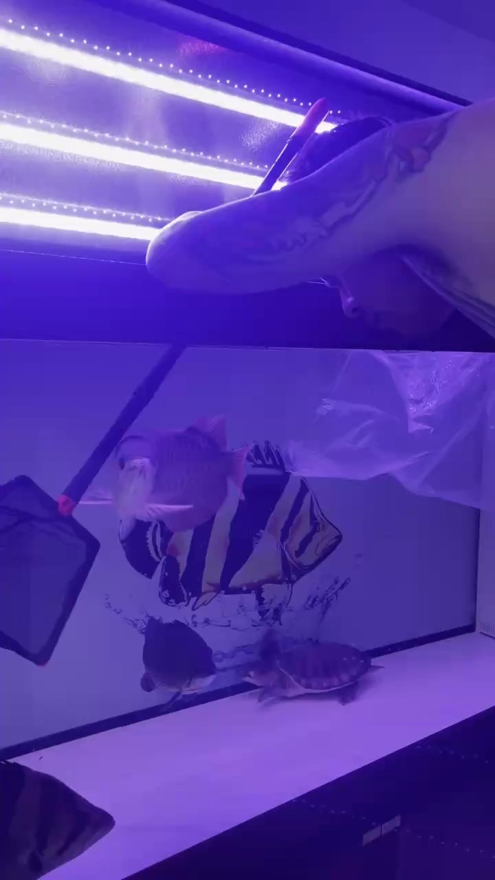 免費做附近的