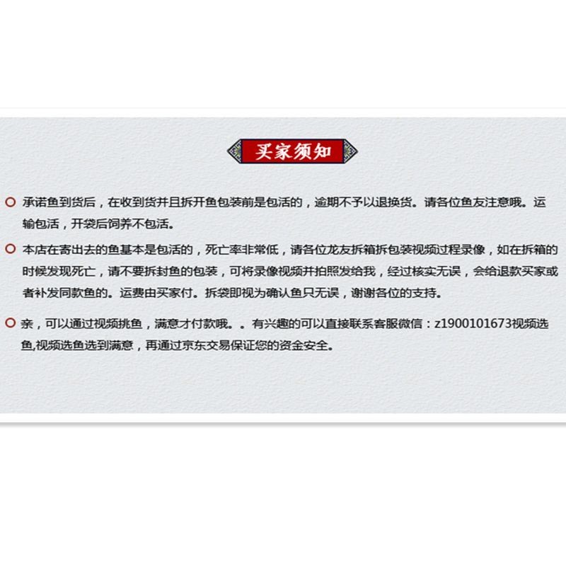 紅龍魚編號查詢：如何查詢紅龍魚編號 紅龍魚編號查詢：如何查詢紅龍魚編號 紅龍魚百科 第3張