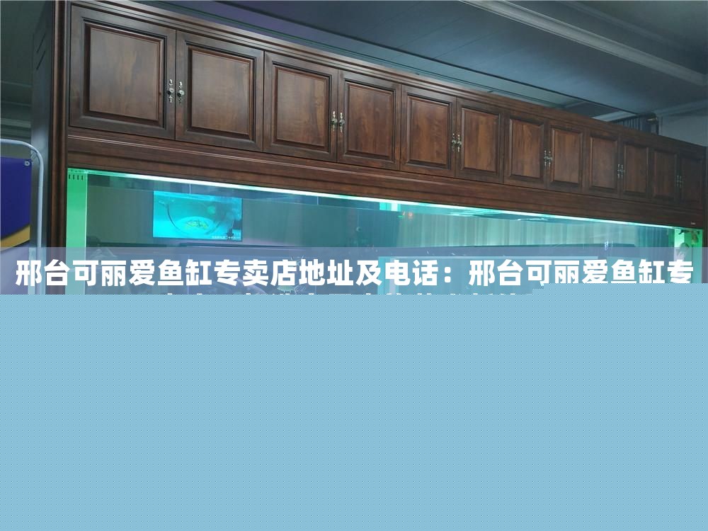 邢臺可麗愛魚缸專賣店地址及電話：邢臺可麗愛魚缸專賣店，打造家居水族藝術(shù)新體驗(yàn)