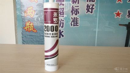 全過背金龍魚好養(yǎng)嗎（全過背金龍魚好養(yǎng)嗎視頻）
