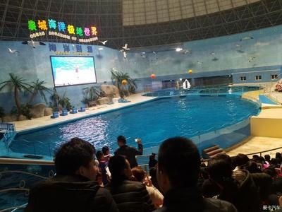 德州水族館vs祥龍魚場（德州水族館與祥龍魚場的區別）