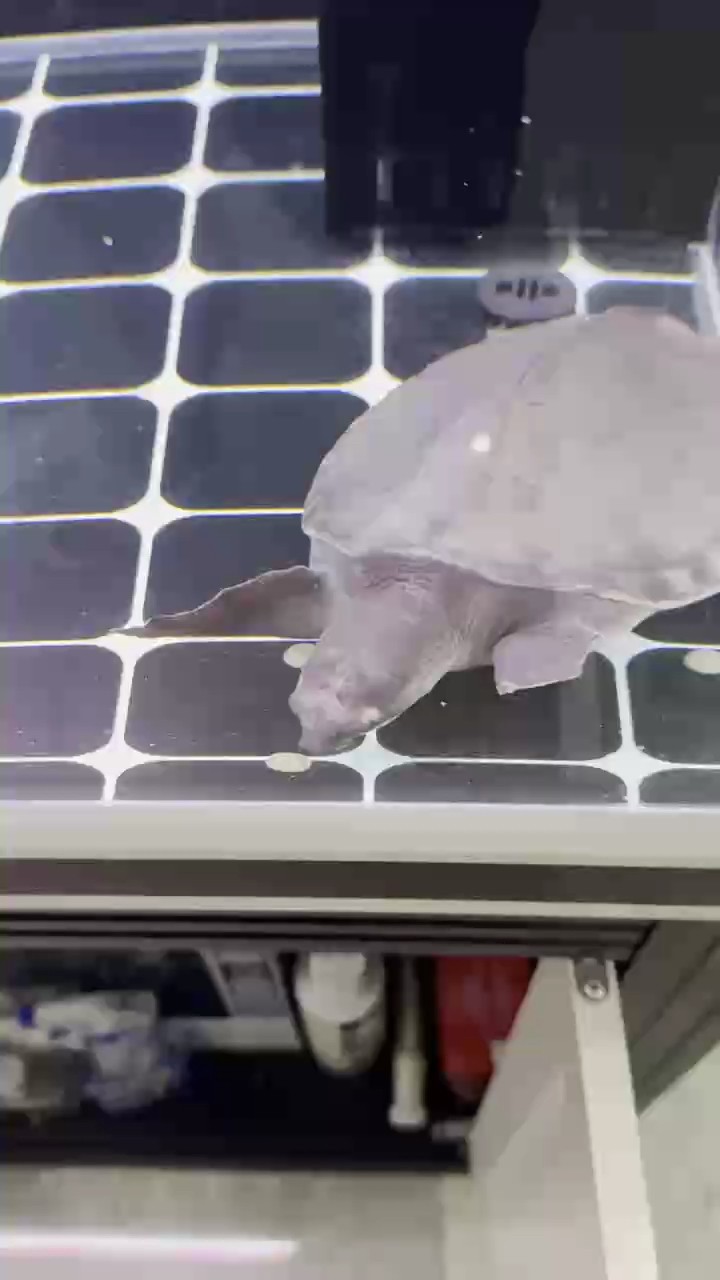 這是咋回事