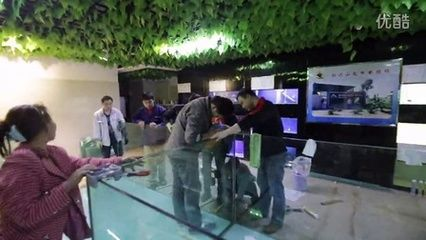魟魚多大的缸可以繁殖：魟魚繁殖缸尺寸主要取決于寬度和高度，需要考慮長度和高度