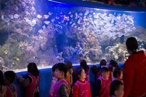 信陽水族館vs祥龍魚場（信陽水族館與祥龍魚場之間的差異之前，我們需要明確兩者的主要業務和服務對象）