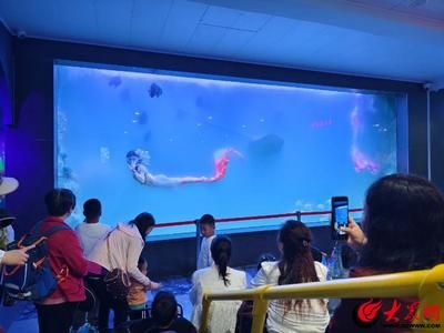 東營水族館vs祥龍魚場（東營水族館與祥龍魚場之間的差異之前需要明確兩者的主要業(yè)務和特點）