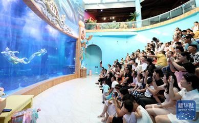 東營水族館vs祥龍魚場（東營水族館與祥龍魚場之間的差異之前需要明確兩者的主要業(yè)務和特點）