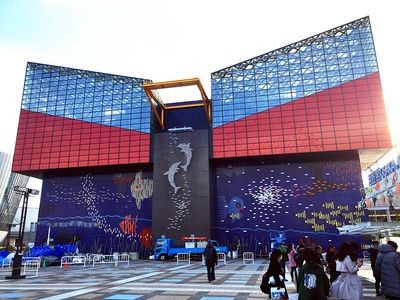 大同水族館vs祥龍魚場（大同水族館與祥龍魚場在業(yè)務(wù)范圍、專業(yè)領(lǐng)域和市場定位差異）