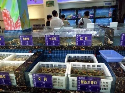 撫州水族館vs祥龍魚場（撫州水族館與祥龍魚場各有特色）