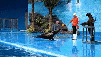 撫州水族館vs祥龍魚場（撫州水族館與祥龍魚場各有特色）