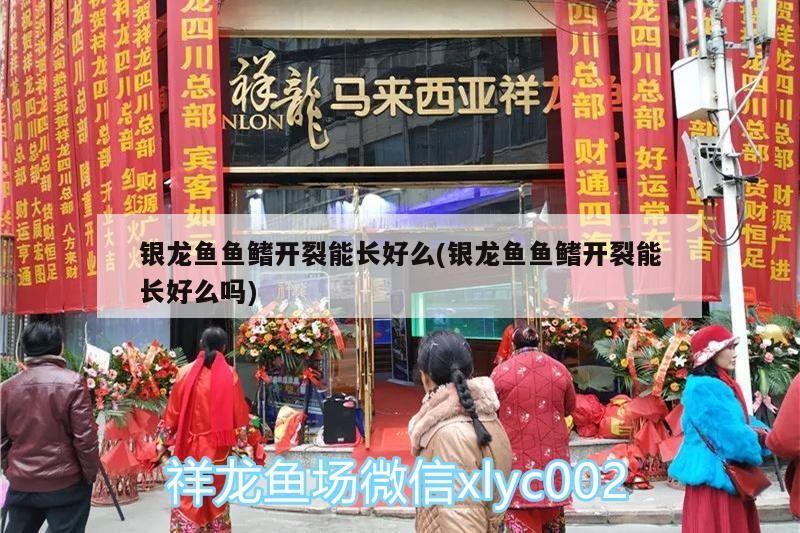 魚缸過濾器選購指南:自制魚缸過濾器魚缸上置過濾器對于養魚愛好者的必備知識 銀龍魚魚鰭開裂能長好么(銀龍魚魚鰭開裂能長好么嗎) 銀龍魚百科 銀龍魚魚鰭開裂能長好么(銀龍魚魚鰭開裂能長好么嗎) 銀龍魚魚鰭開裂能長好么(銀龍魚魚鰭開裂能長好么嗎) 銀龍魚百科