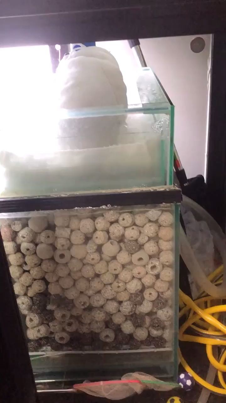 廣州市番禺三江水族用品店