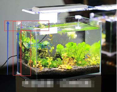 50的魚缸多大過濾箱：魚缸過濾器的選擇與使用技巧 50的魚缸多大過濾箱：魚缸過濾器的選擇與使用技巧 魚缸百科 第4張