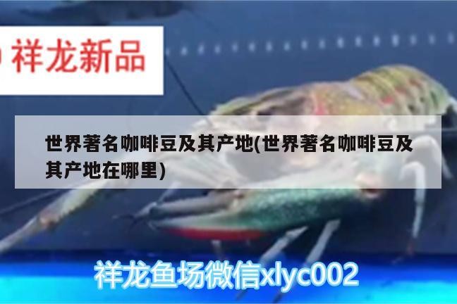世界著名咖啡豆及其產(chǎn)地(世界著名咖啡豆及其產(chǎn)地在哪里)