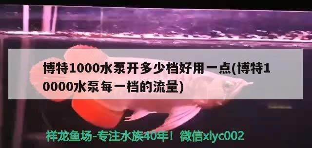 博特1000水泵開多少檔好用一點(diǎn)(博特10000水泵每一檔的流量)