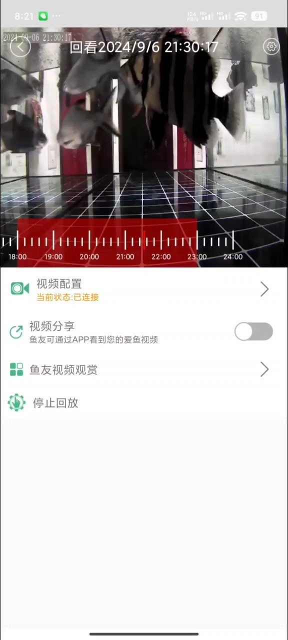 泥鰍才吃兩條，不喜歡吃么？ 泥鰍才吃兩條，不喜歡吃么？ 龍魚論壇