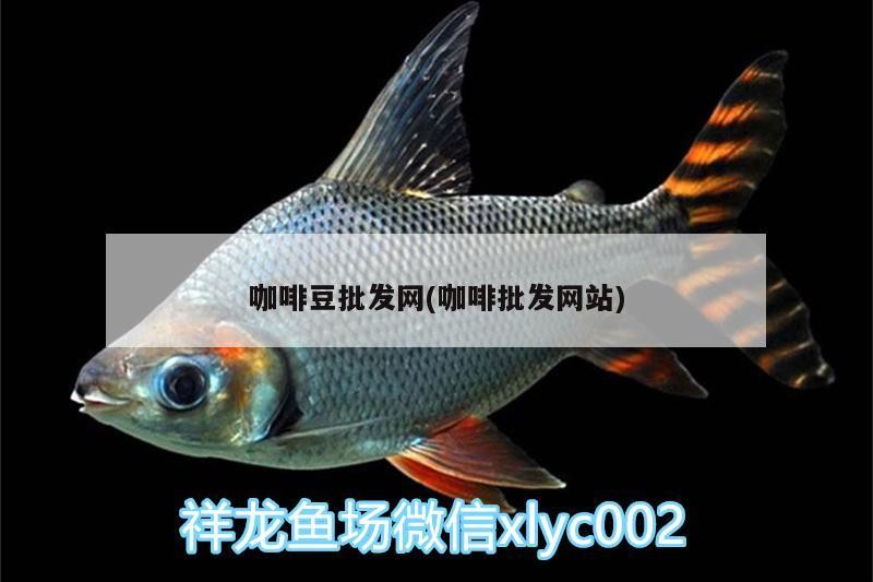 咖啡豆批發網(咖啡批發網站)