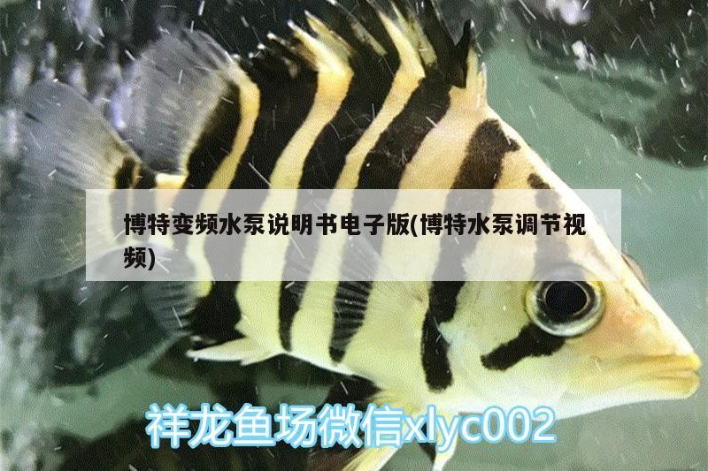 博特變頻水泵說明書電子版(博特水泵調節視頻) 博特變頻水泵說明書電子版(博特水泵調節視頻) 博特水族