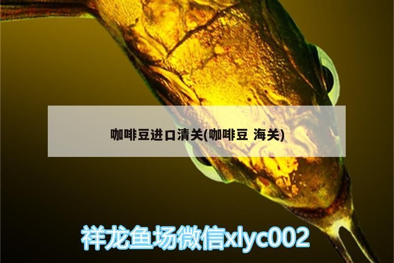 咖啡豆進(jìn)口清關(guān)(咖啡豆海關(guān))