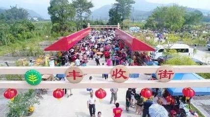 肇慶龍魚vs祥龍魚場（探討肇慶龍魚與祥龍魚場的區(qū)別之前需要明確兩者所代表內容）