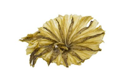 魟魚干