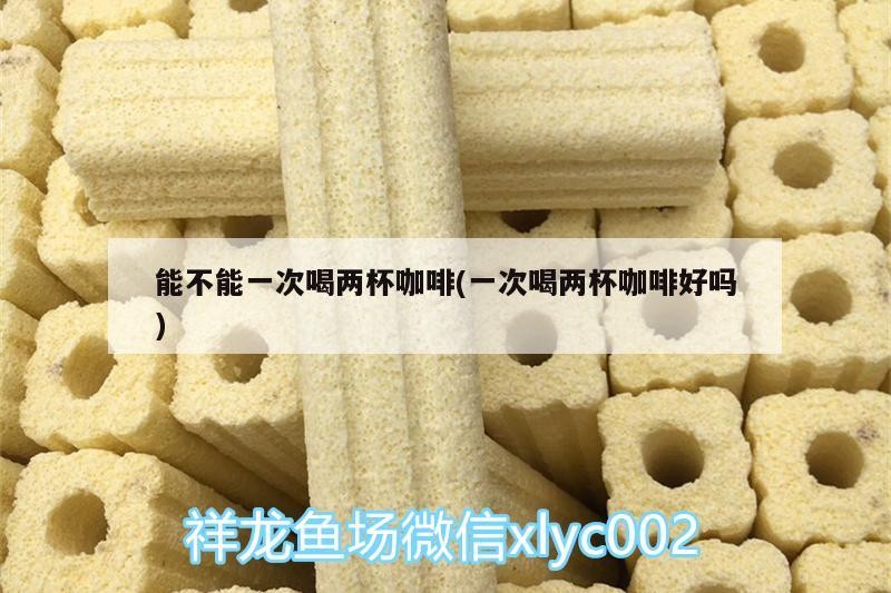 魚缸用增氧泵價格是多少:魚缸增氧機-xtrac增氧機-xtrac增氧機 能不能一次喝兩杯咖啡(一次喝兩杯咖啡好嗎) 馬來西亞咖啡 能不能一次喝兩杯咖啡(一次喝兩杯咖啡好嗎) 能不能一次喝兩杯咖啡(一次喝兩杯咖啡好嗎) 馬來西亞咖啡