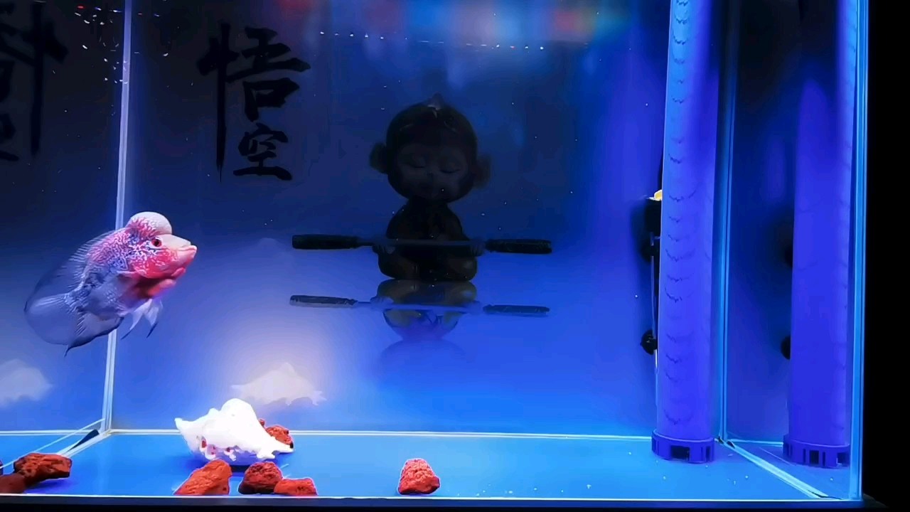 新生入學(xué)