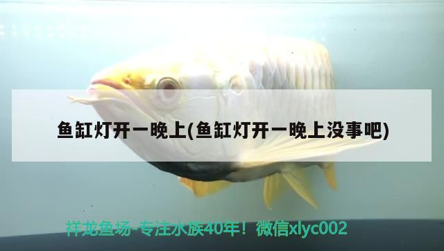 魚缸燈開一晚上(魚缸燈開一晚上沒事吧)