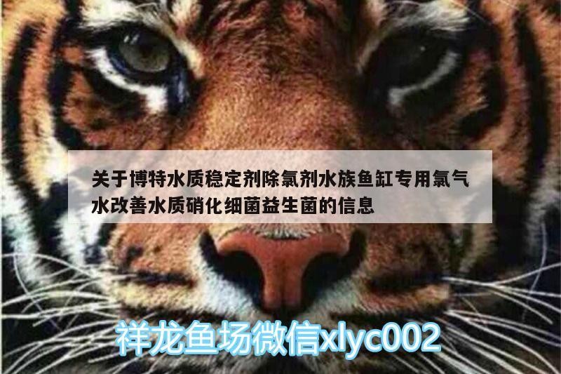 關(guān)于博特水質(zhì)穩(wěn)定劑除氯劑水族魚缸專用氯氣水改善水質(zhì)硝化細(xì)菌益生菌的信息